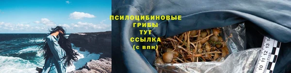 мяу мяу кристалл Магас