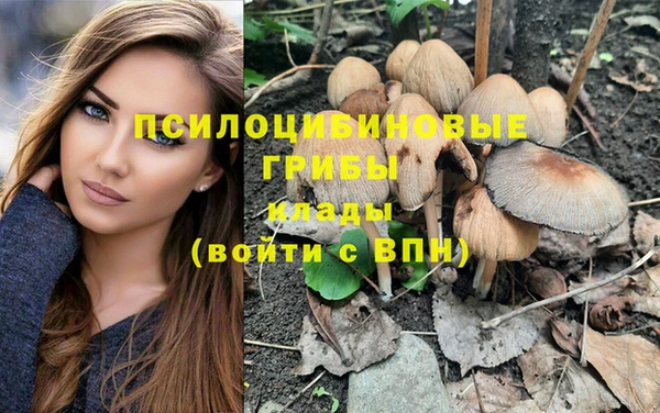 амф Майский