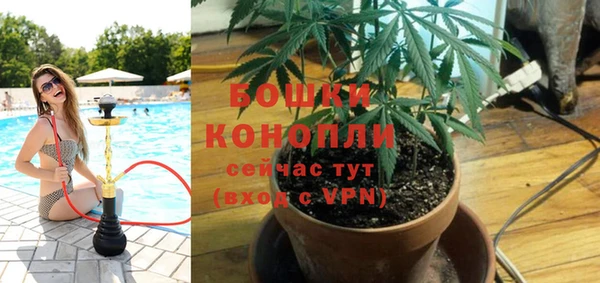 амф Майский
