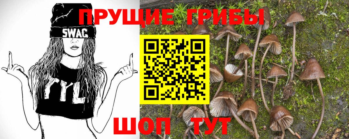 Великий Новгород  Псилоцибиновые грибы Magic Shrooms  Галлюциногенные грибы прущие грибы  где можно купить   Вход с VPN 