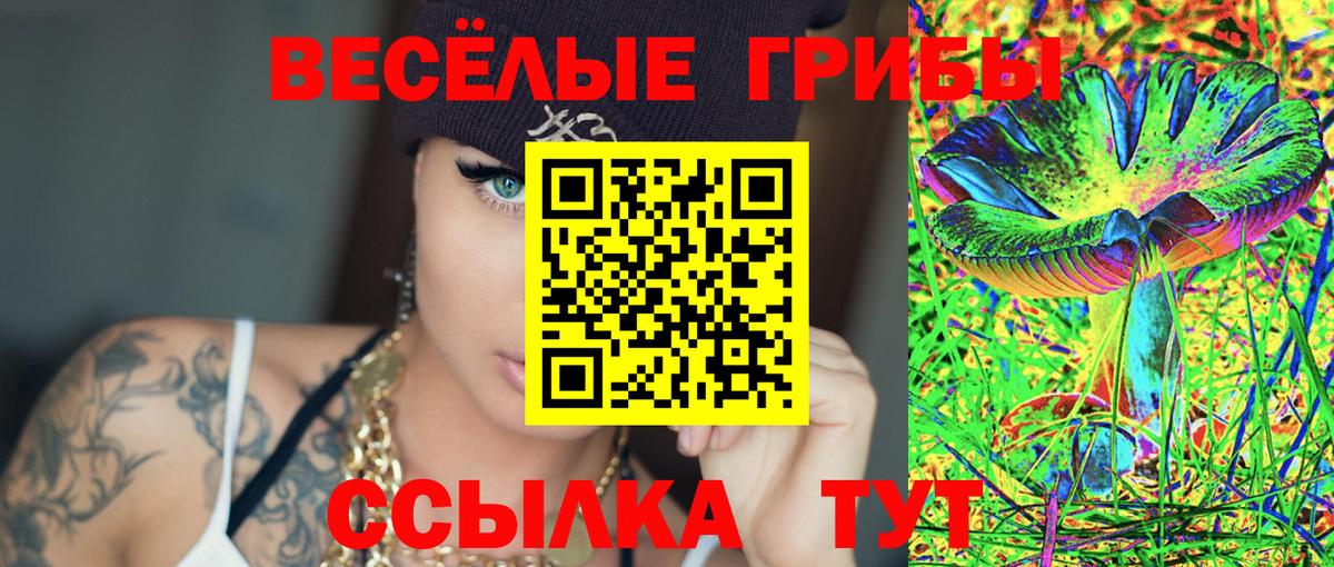 Псилоцибиновые грибы MAGIC MUSHROOMS  Великий Новгород  Псилоцибиновые грибы Psilocybine cubensis 