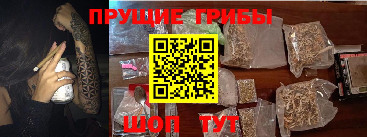 Псилоцибиновые грибы Psilocybine cubensis Великий Новгород