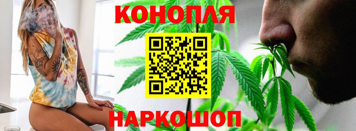 МАРИХУАНА план  Вход с VPN  Великий Новгород  Шишки марихуана сатива  Канабис сатива 